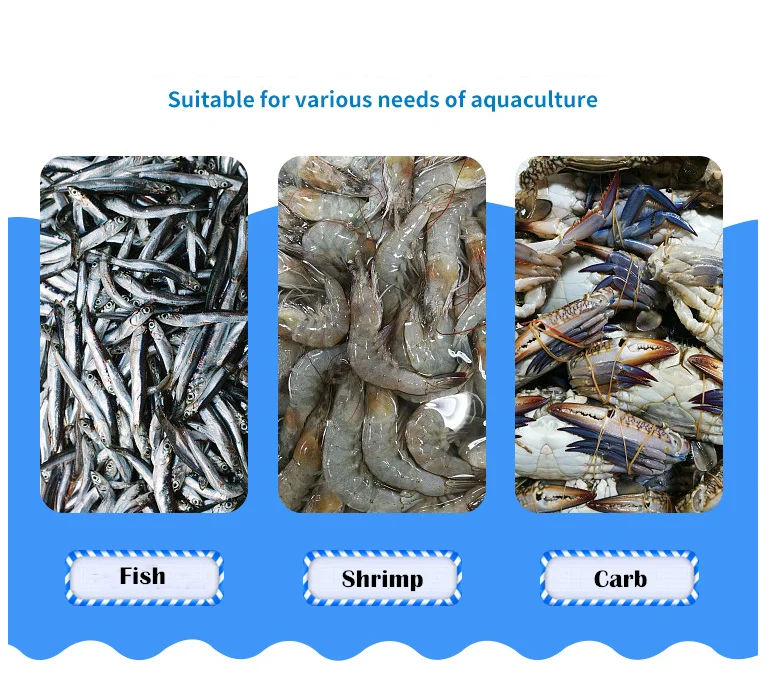 Aquaculture Fish Shrimp Environment Bacteria Crab Sewage Treatment Bacillus Pumilus 50 Billion