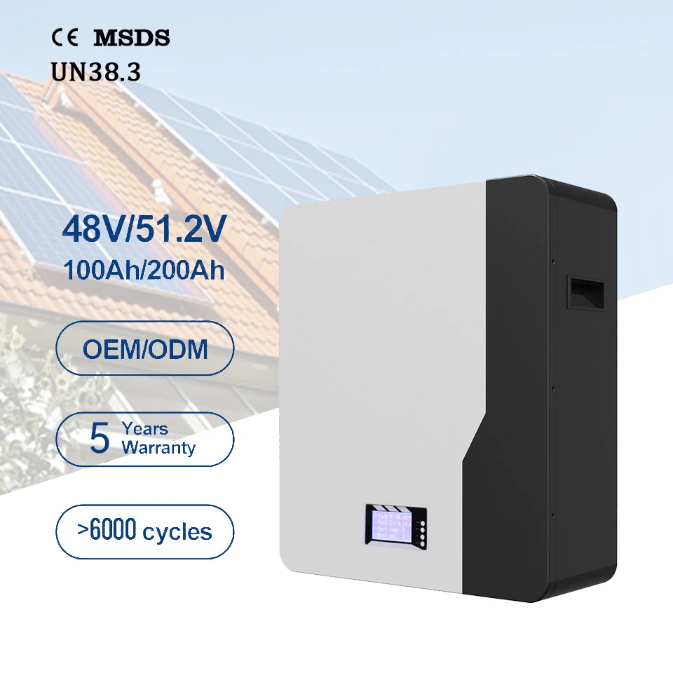 Home Energy Battery Lifepo4 Battery Case Solar Powerwall Battery 48V 200Ah Inverter Energy Storage System All in One Ess