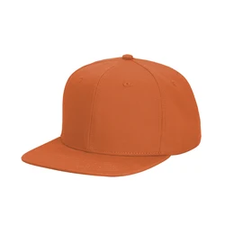 Custom Embroidery 6-panel Hat Fashion Plain Outdoor basketball hat