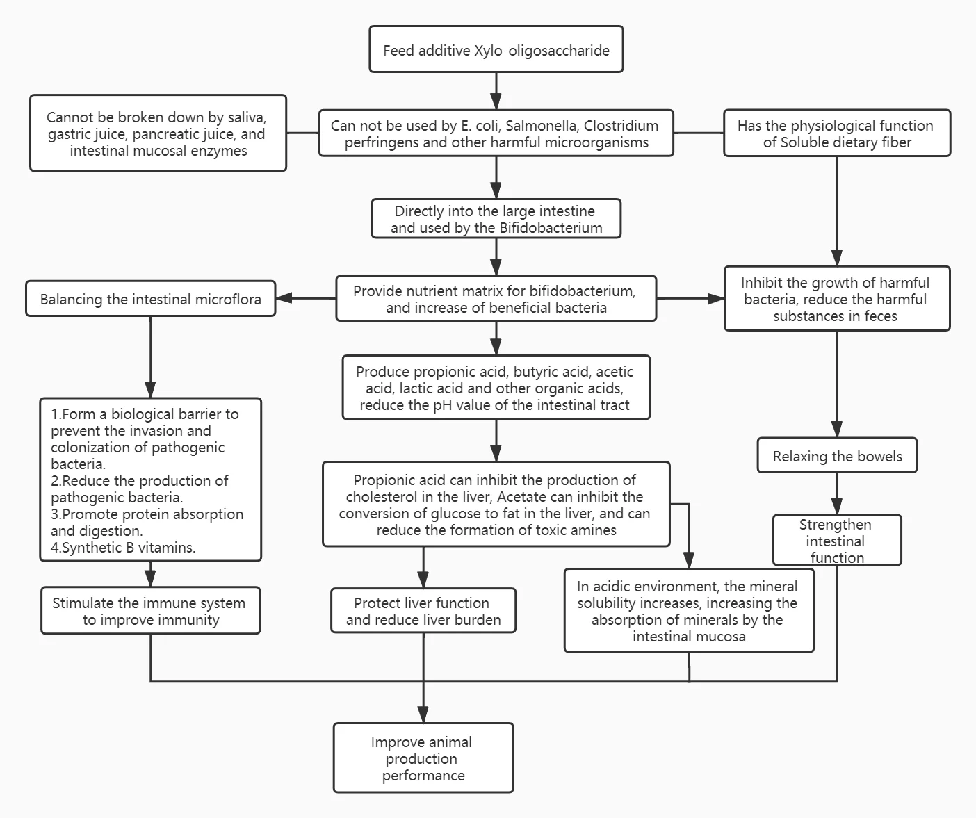 Excellent alternative to antibiotics Feed grade XOS for Feed premix