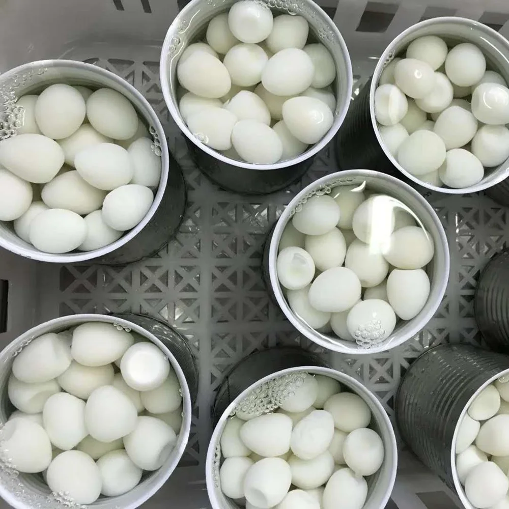 Quail egg feeding factory supply canned food of 425g 850g 3kg salted quail eggs canned quail egg in brine water export for sale