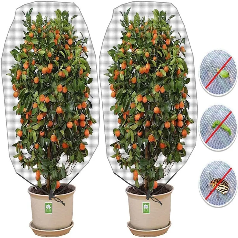 Wholesale Insect-proof net bag Plant insect-proof bag garden melon insect-proof net cover can be made with zipper vacuum