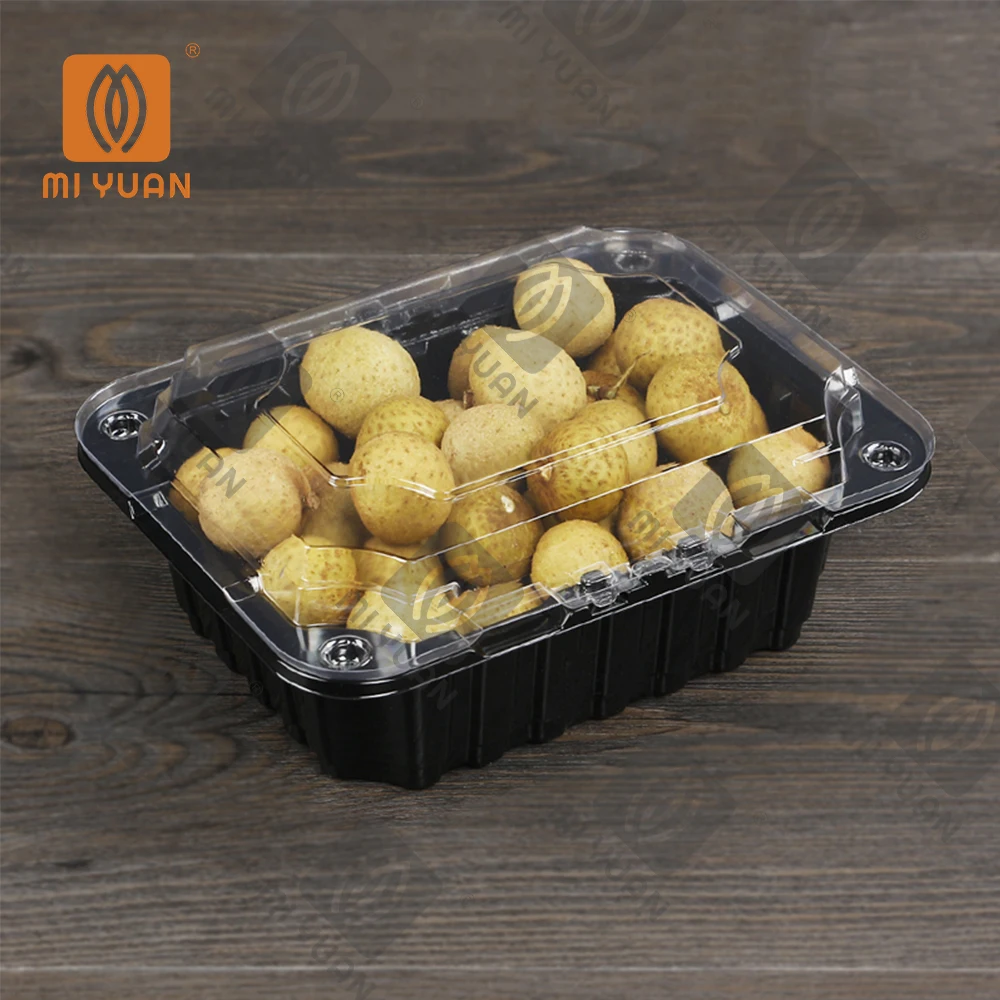PET Clear Fresh Fruit Recyclable Plastic Clamshell Box For Supermarket Fruit Grape Fruit Box