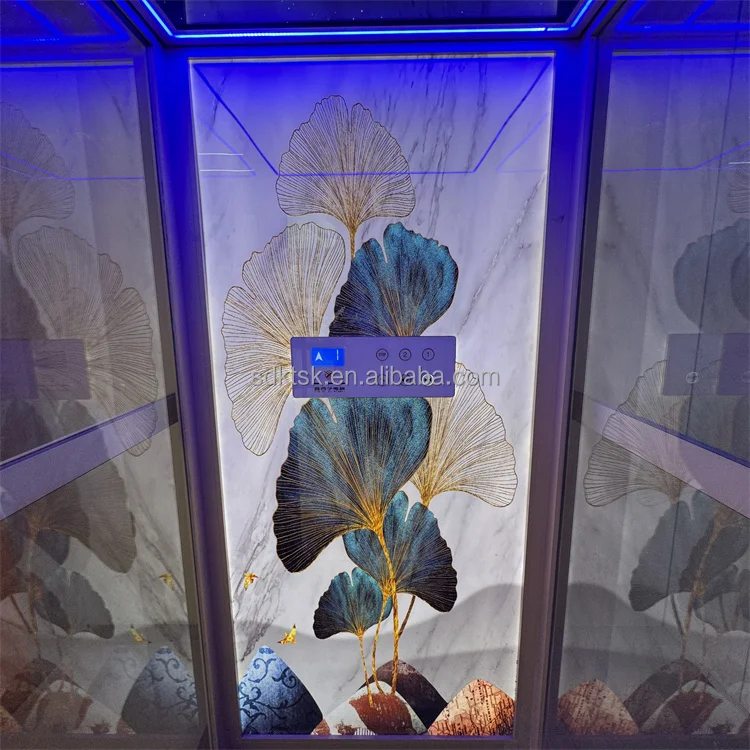 Mini residential elevator small home lift elevator residential panoramic elevator