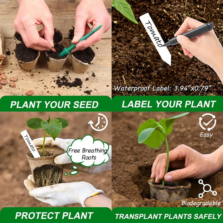 biodegradable paper pulp organic seeding pots for starting flowering plants herbs vegetables strawberries