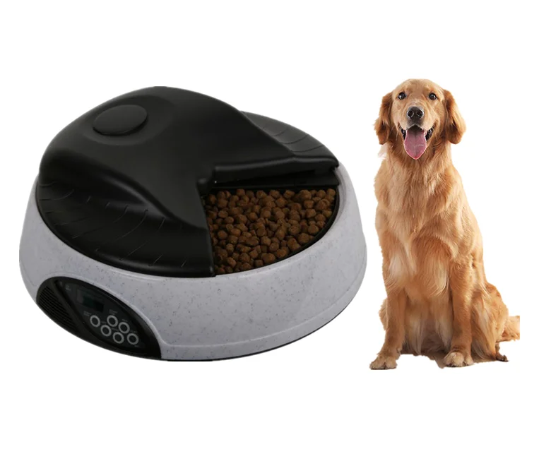 4 different feeding times auto feeder minecraft with auto pet feeder
