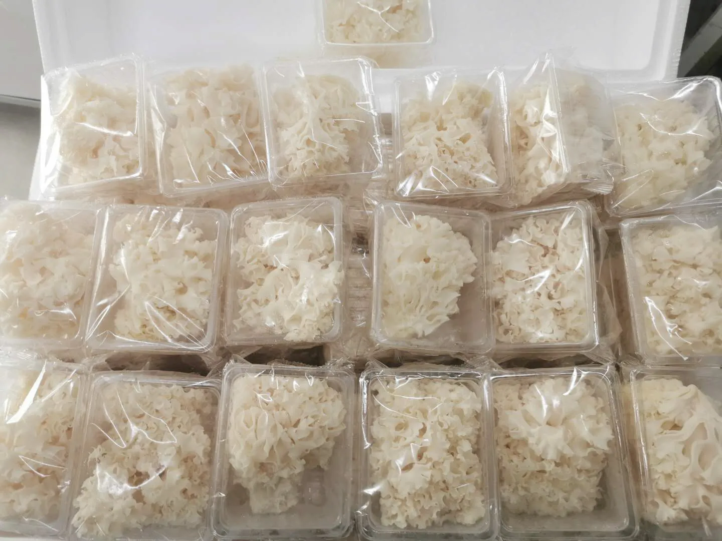 
Detan Sparassis Crispa Mushroom 