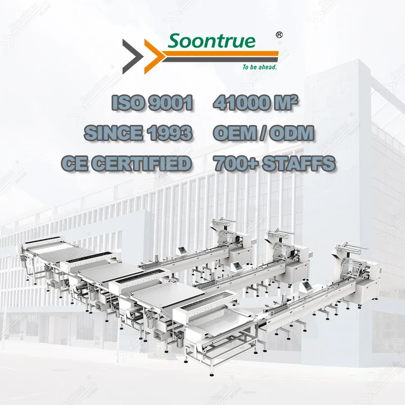 Fully Automatic swiss roll feeding packaging processing line system prices