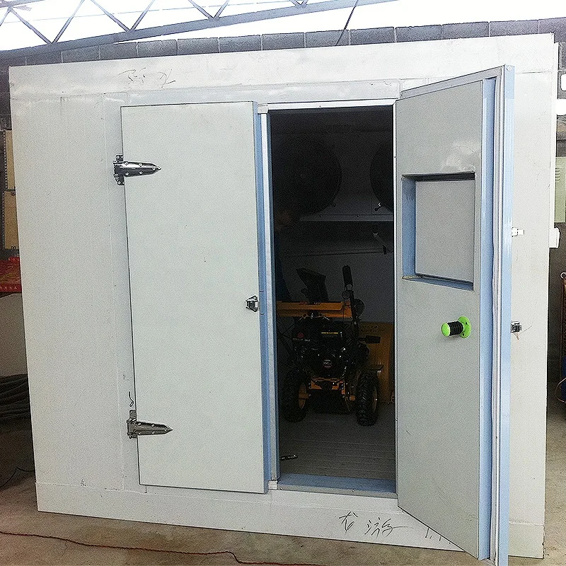 Glass door freezer