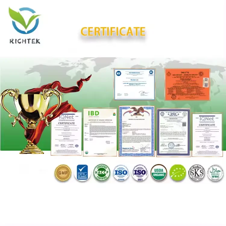 OEM Low Calorie Lemon Flavour Electrolyte Powder Hydration Packets Sweetened Stevia Energy Drink for Adults