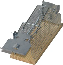 NEW Wholesale Live Mouse Trap Cagemouse Cage Stainless Steel Cage Rat Trap Rat Trap Cage