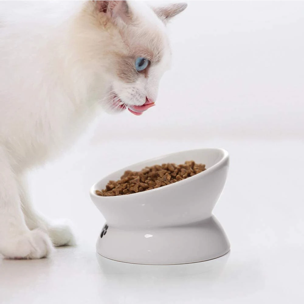IKITCHEN 2023 Hot Sale Raised Cat Water Bowl Protect Spine Elevated Dog Food Bowls Ceramic Cat Dog Bowls Customization