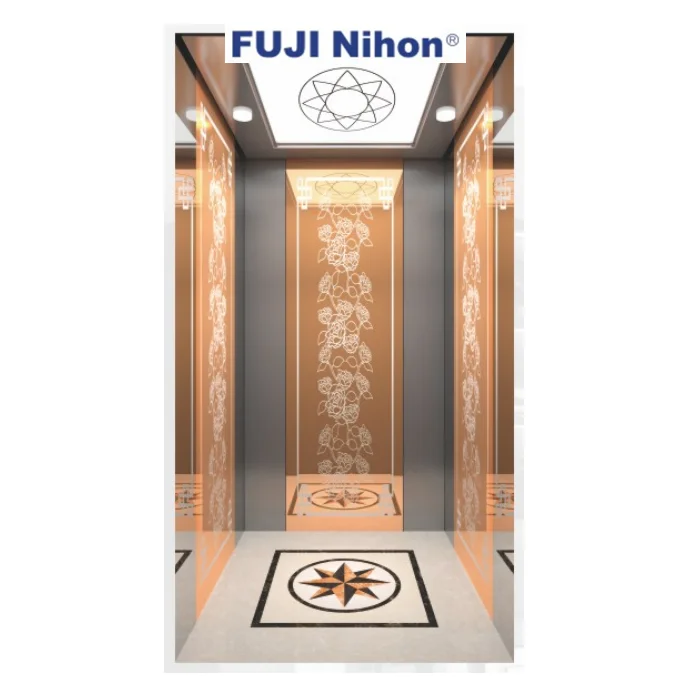FUJI factory worldwide  villa use Hotel 5 persons residential lift golden design Home Elevator