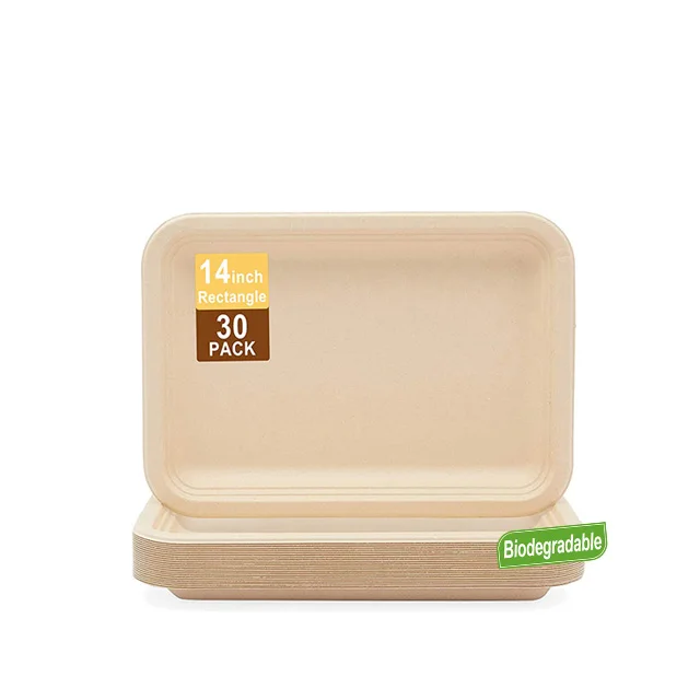 New arrival disposable sugarcane bagasse plates paper plate biodegradable wholesale disposable plate for fast food take out