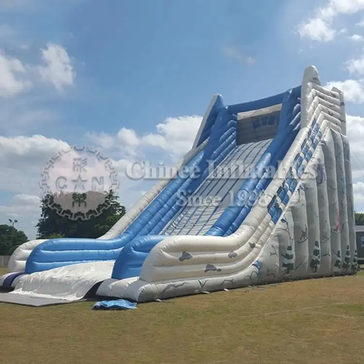Newest Exciting Commercial Inflatable Slide Giant Inflatable Toboggan Slide for Adult