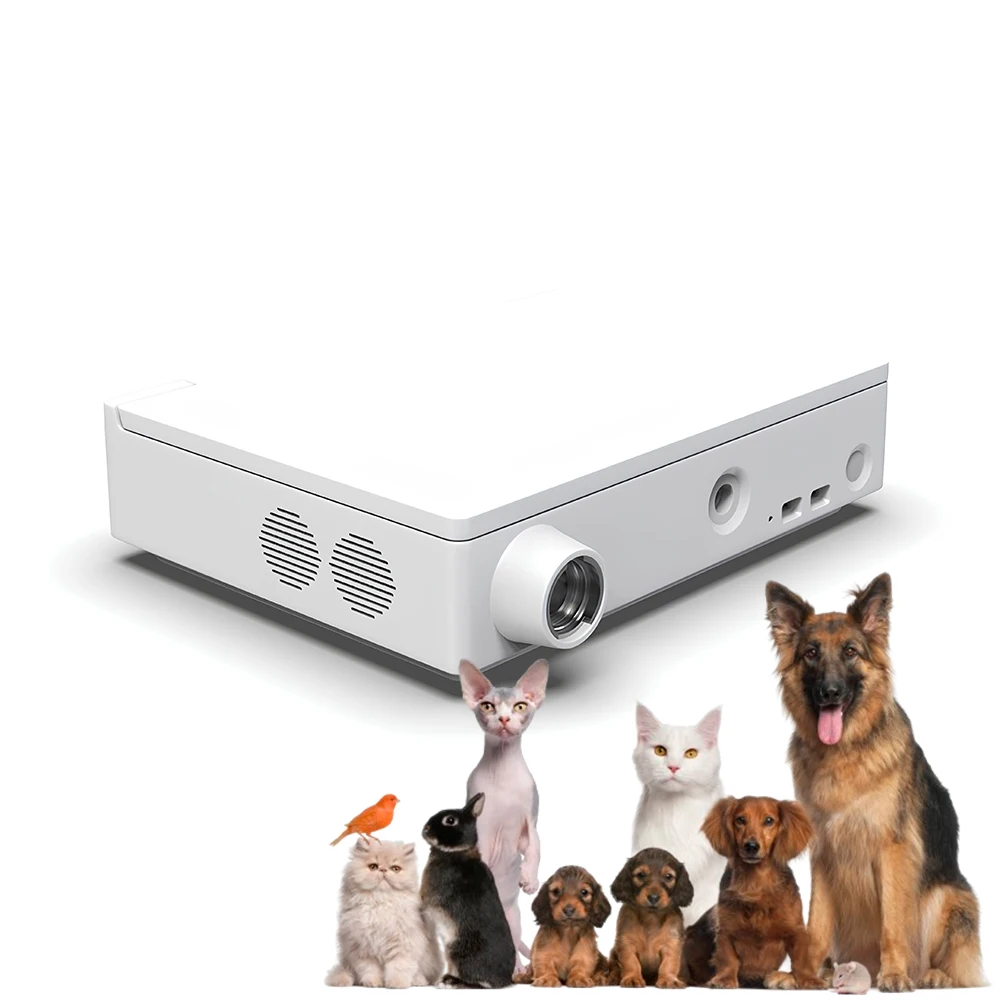 All-In-One Portable Veterinary Flexible Endoscope Electrode Inspection Camera Gastro Intestinal