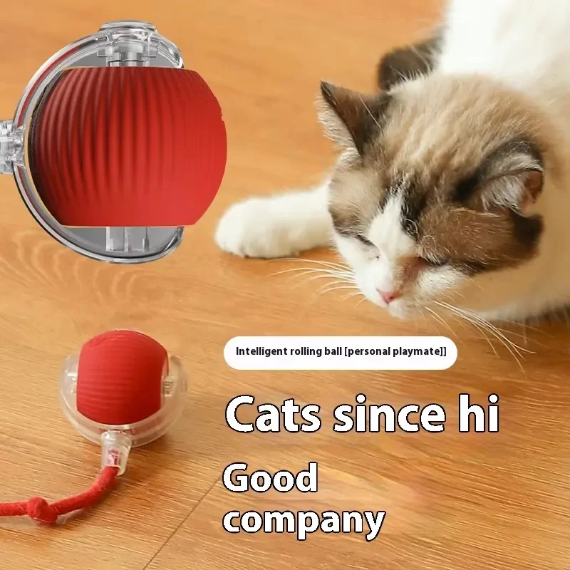 Bird Sound Wholesales Electric Smart Self-Rolling Cat Ball Automatic Moving Rechargeable Interactive Cat Toys Ball With Rope