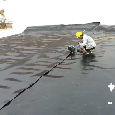 indoor shrimp farming solid pond indoor lobster farming tilapia hatchery tanks