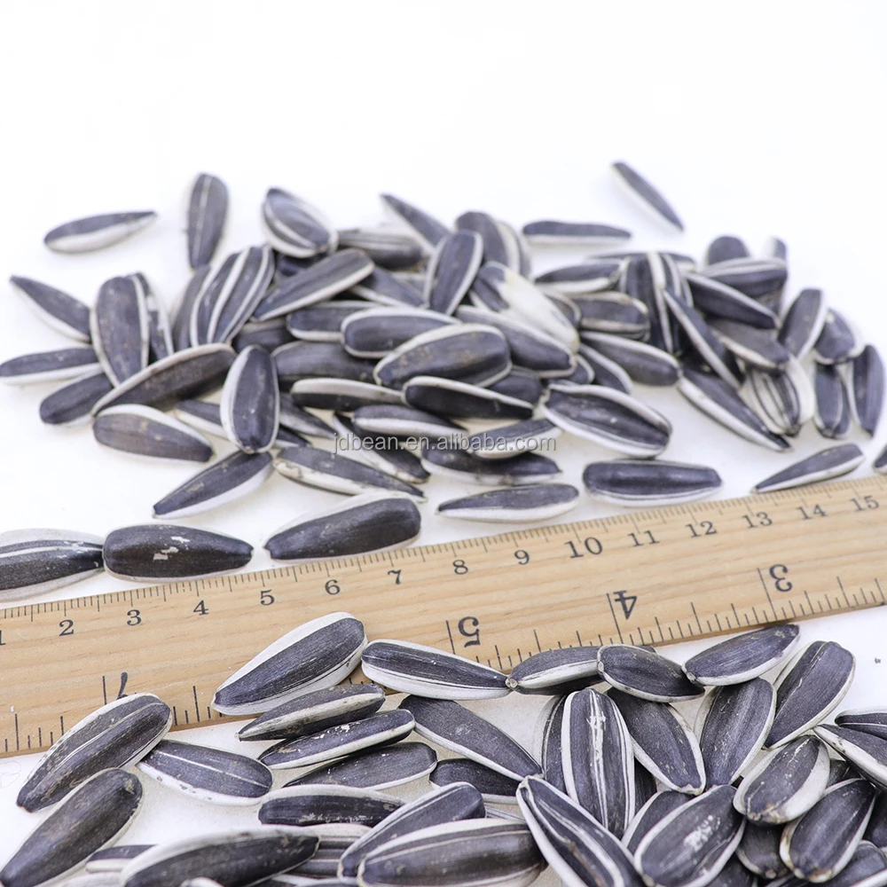 China Origin Factory Customize Dry Giant Sunflower Seeds Melon Seeds Sunflower Seeds Raw Material For Oil Extraction