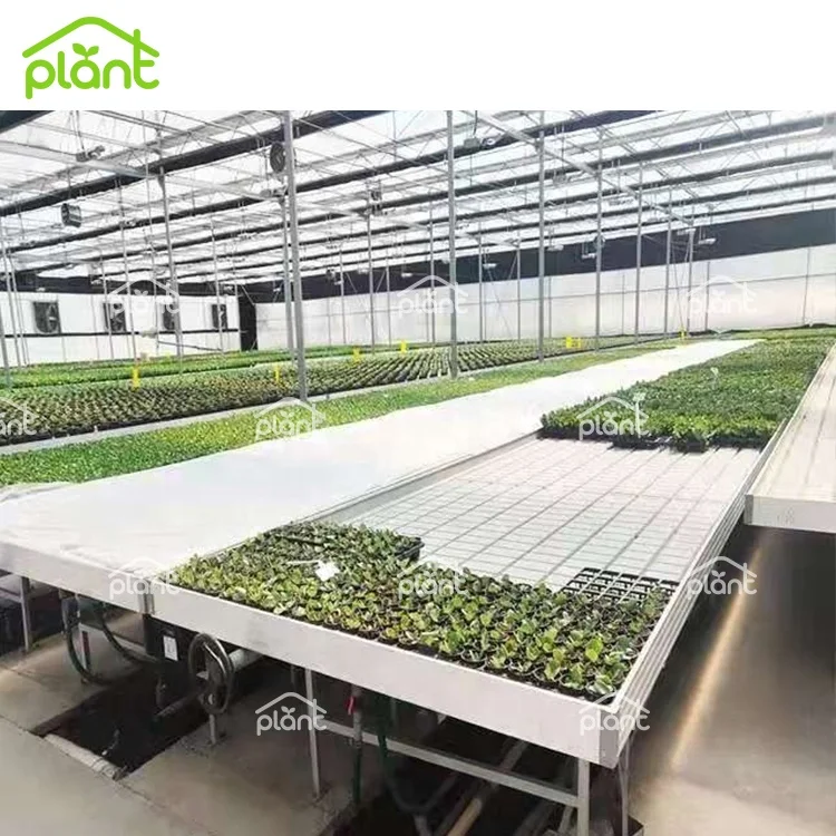 Ebb and Flow Seedbed Greenhouse Grow Table Movable Rolling Bench For Seedling/Breeding