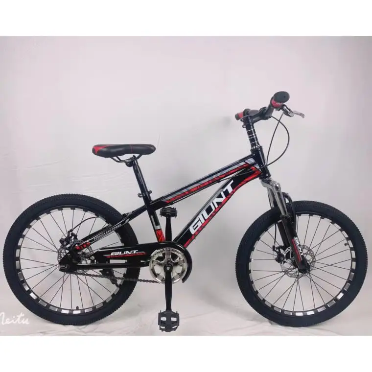 2024 New Model 20-Inch Single Speed Mountain Bike Steel Fork Disc Brake & Ordinary Pedal 20*2.4 Tire Mountain Bikes Bicycle