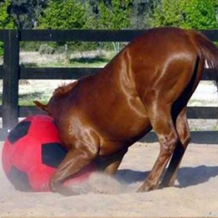 High quality Horse play Soccer Ball and ball cover with Pump Included