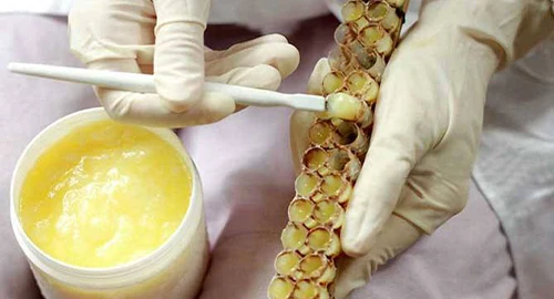 factory wholesale top quality royal jelly