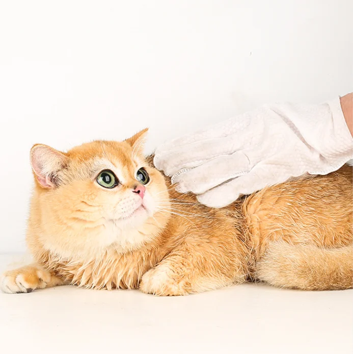 Custom Brand Pet Cleaning Wipes Pets Care Gloves Wet Wipes Daily Cleaning For Cats And Dogs