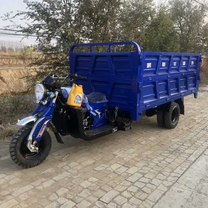 Новый стиль 300cc трехколесный мотоцикл пассажирский и грузовой топливный бензин