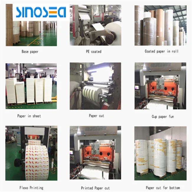 250 gsm PE Coated Paper For Paper Cup Raw Material Cheap Price