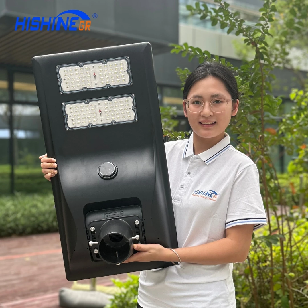 HiShine Outdoor Solar Panel Pole Powered Street Light Integrated All In One 30W 100W Smart Road Lamp IP66 Solar Garden Lights