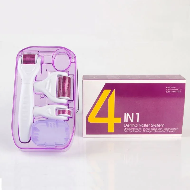 
4 In 1 Derma Roller Set Price Best Pen Private Label Dermaroller 3 Zg 