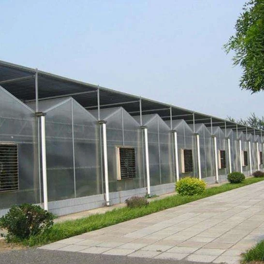 Worth Buying Automatic 6mm Polycarbonate Greenhouse For Sale