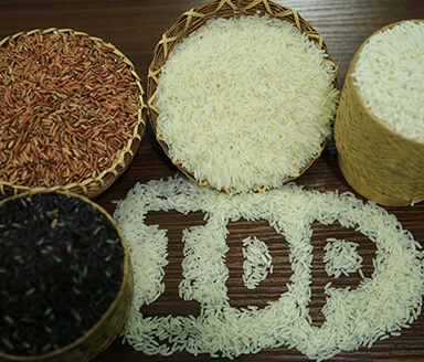 Nalao Organic Jasmine Rice low price pure natural high-quality grain  nutrition Lao organic jasmine rice