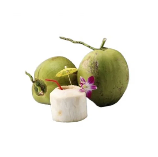 The Best of Healthy Drinking Young and Fresh Coconut Fruit With Weight 900 to 1.200 g From Thailand