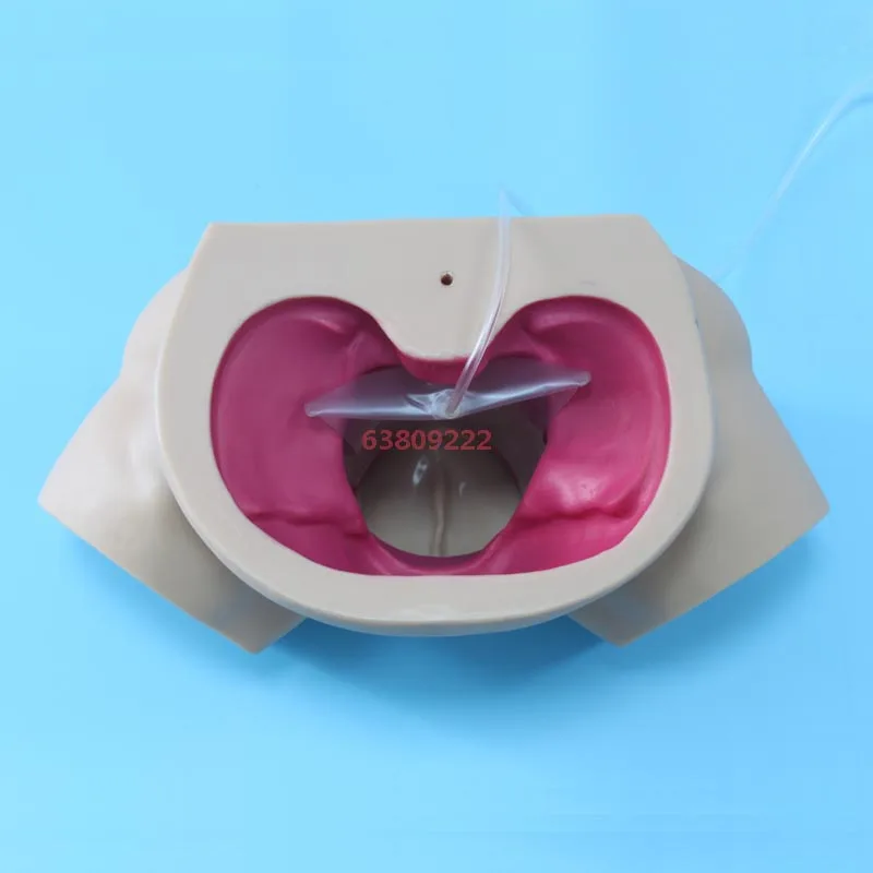 BIX-F8A  Science Hot Sale Electronic Women Examination Manikin Medical Teaching Birth Simulator Pregnant Training Model