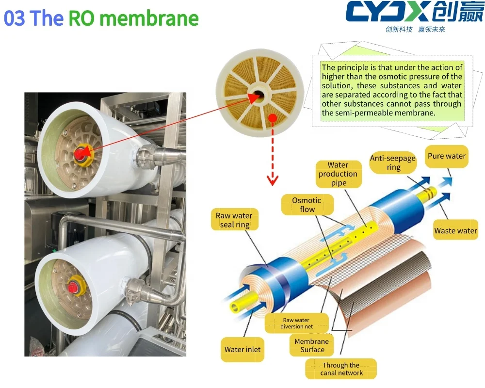 CYJX Customized Reverse Osmosis RO Water Treatment Equipment Purified Water System