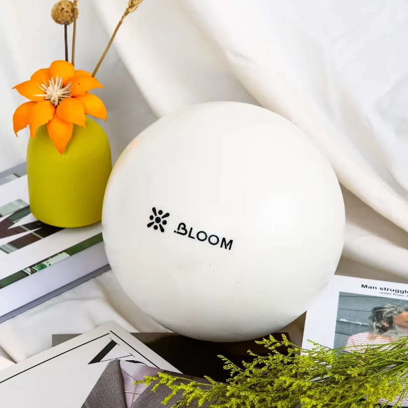BLOOM 20cm Mini Updated Yoga Ball, Anti-Slip Pilates Ball, for Workout, Fitness, Exercise, Balance, Gym, Abs, Pregnancy Birthing