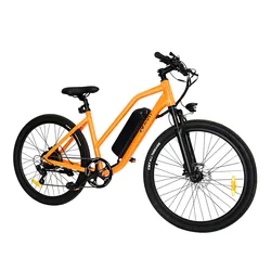 2022 New Electric Bike Adult Mountain 26 Inch 36v 350W Ebike Electric Bicycle With Removable Lithium Battery