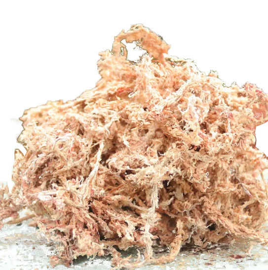 wholesale real natural dried sphagnum peat moss for plants sphagnum moss orchid pet pavement