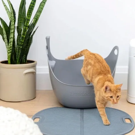 Large Capacity Cat Litter Box Semi-closed Plastic Sand Box for Cats Pet Toilet Anti Splash Cat Tray Cleaning Bath Basin Supplies