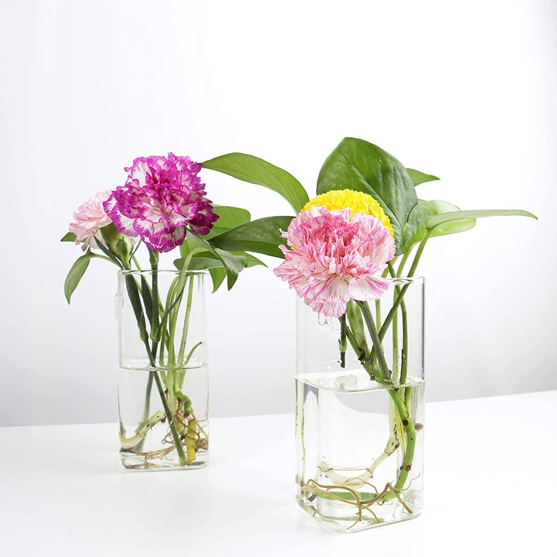 Ручная выдувная круглая прозрачная стеклянная цилиндрическая ваза для растений и цветов