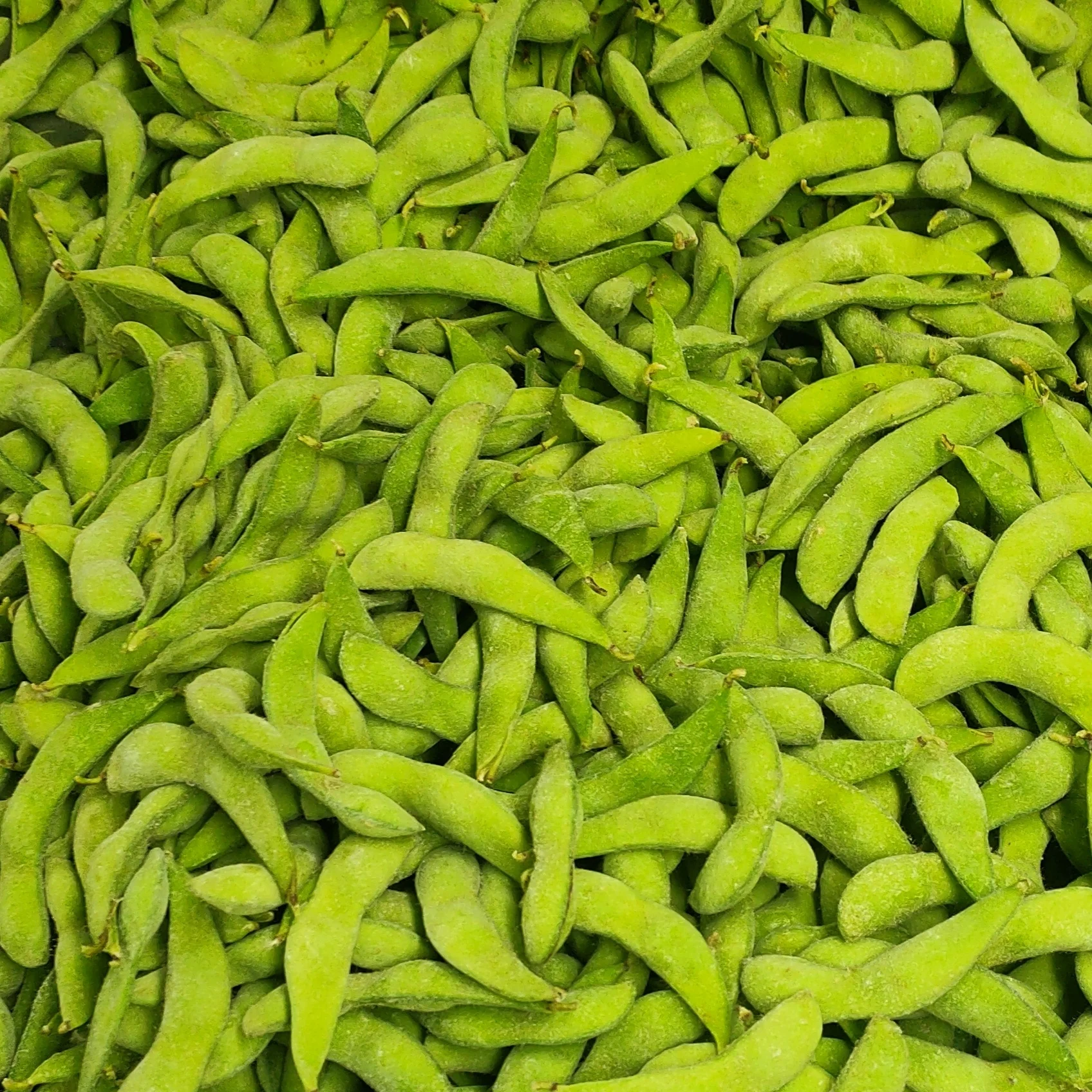 Акция цена IQF Глубоко Замороженные Овощи Замороженные edamame