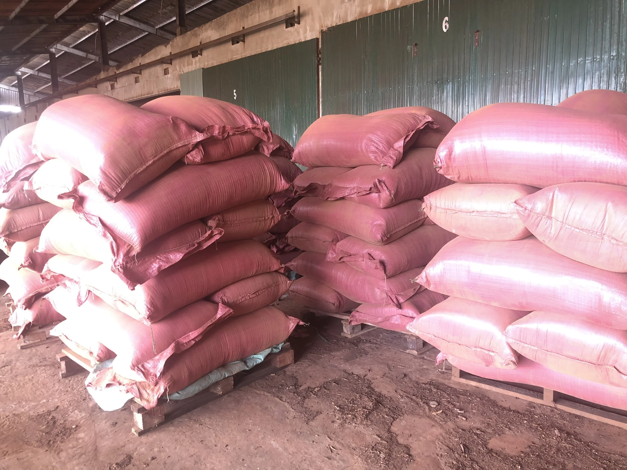 
Joss (Litsea Bark) Powder Bulk Quantity Best Price 