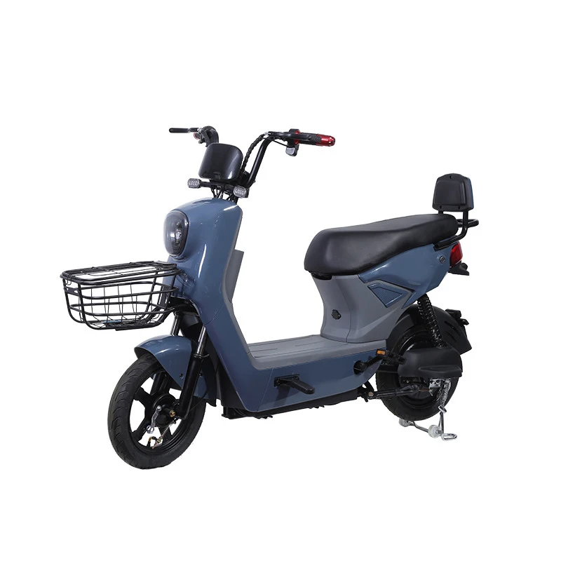 Paige Chinese Factory Wholesale Electric Bicycle Conversion Kit With Battery For Adults E Bike Motor 500W Ideal