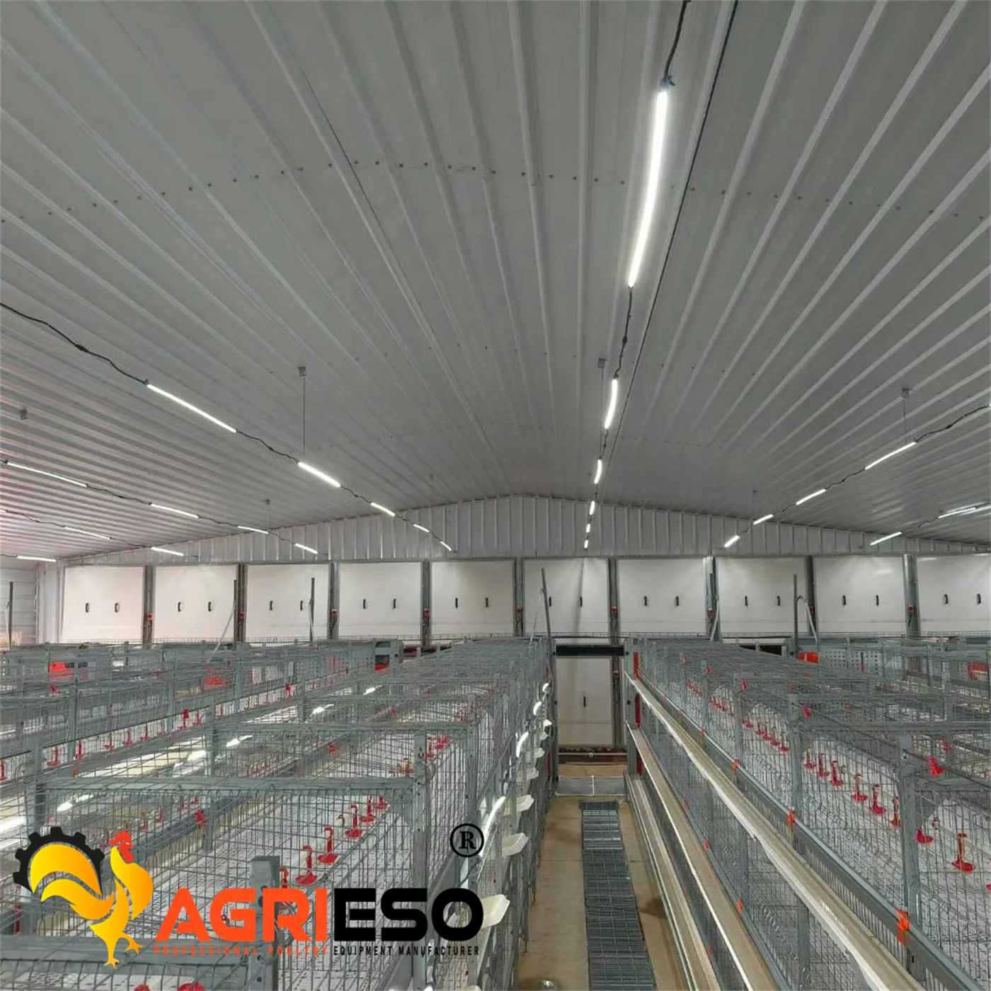 Agrieso Chicken Farming/Farm Equipment/Machine Broiler Layer High Rate Baby Chicken Cage