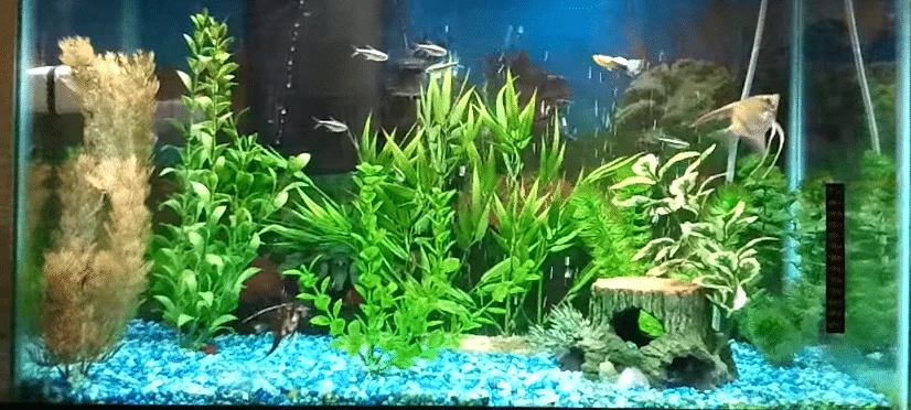 The Aquarium With Customizable Colors Is Decorated With Reflective Glass Pebbles With Different Shapes