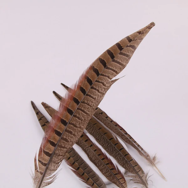 Оптовая продажа 30-35 см натуральный кольцевой воротник перья хвоста фазана крашеный узор для завязывания мух