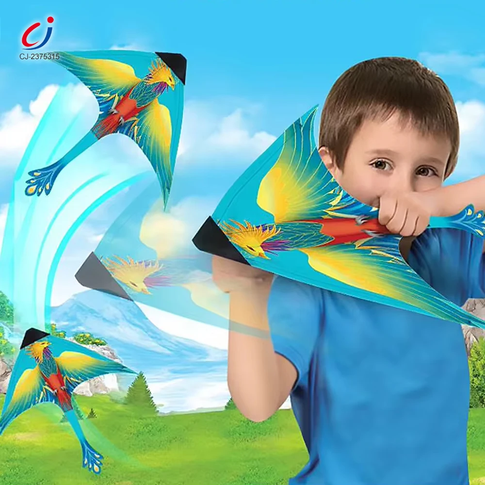 Chengji triangle shape kite handheld slingshot ejection flying cometas toys catapult bird shape kites