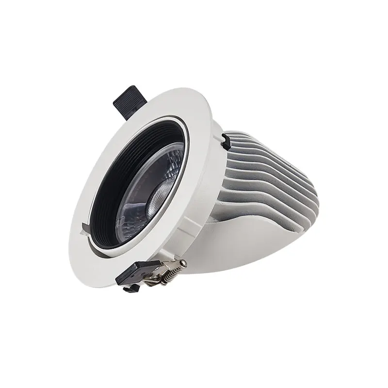 Масштабируемый потолочный светильник серии 10 Вт 20 Вт 30 Вт, светодиодный Регулируемый потолочный светильник, светодиодный Наклонный Точечный светильник, Встраиваемый светодиодный потолочный светильник